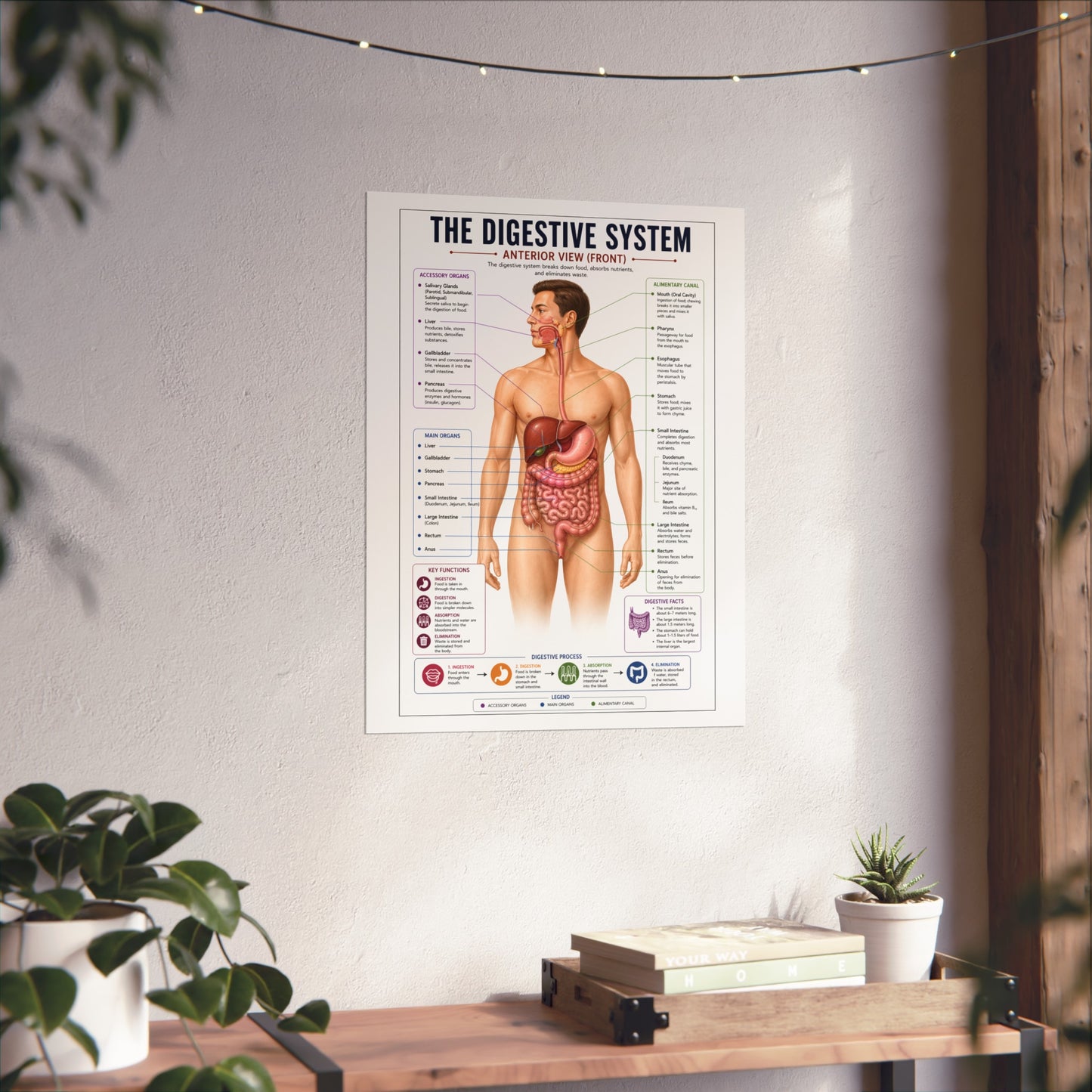Fine Art Posters