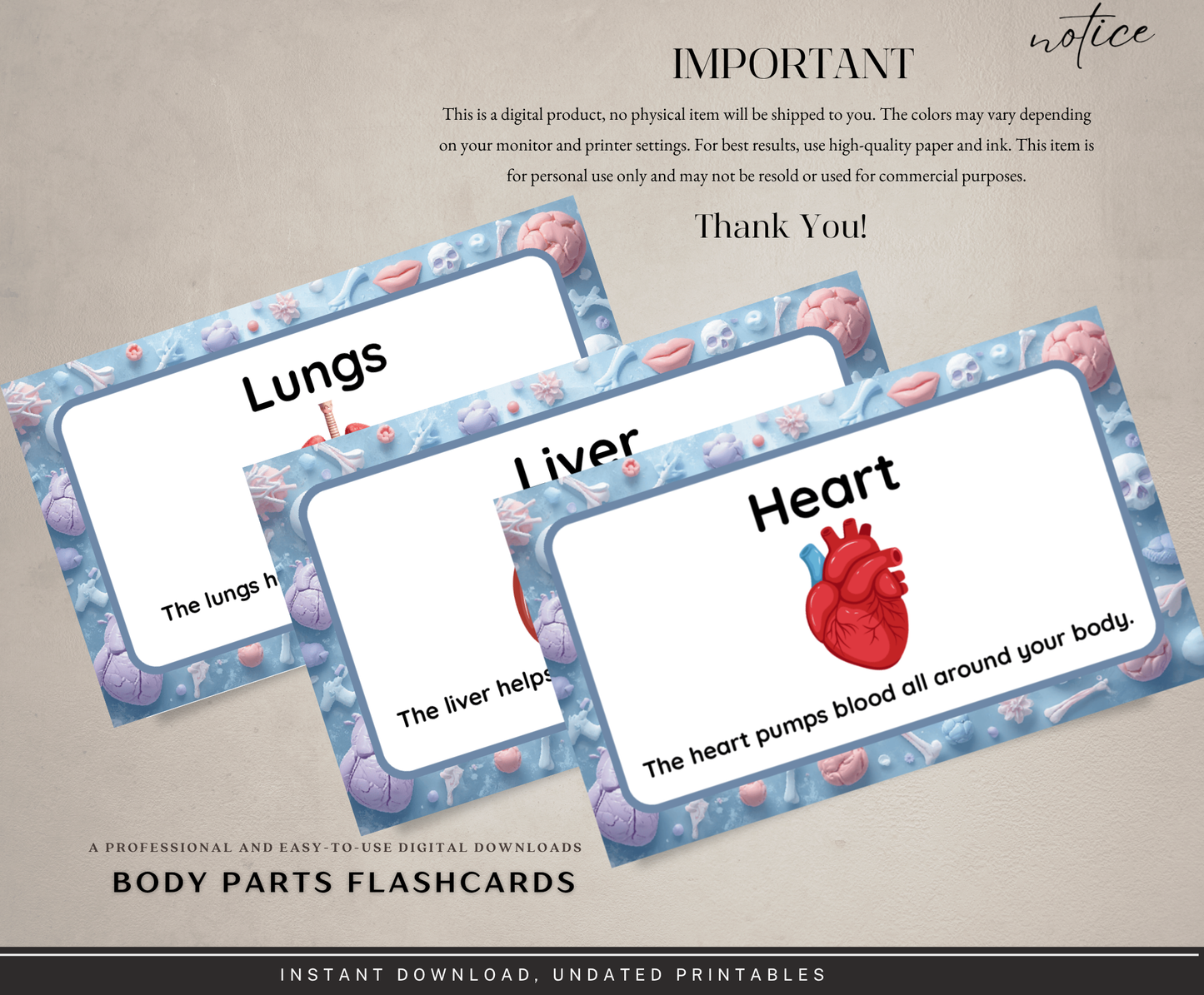 Body Parts Flashcards | Printable Human Anatomy Study Cards PDF for Kids & Students