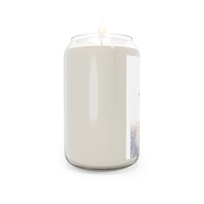 Scented Soy Candles, 13.75oz