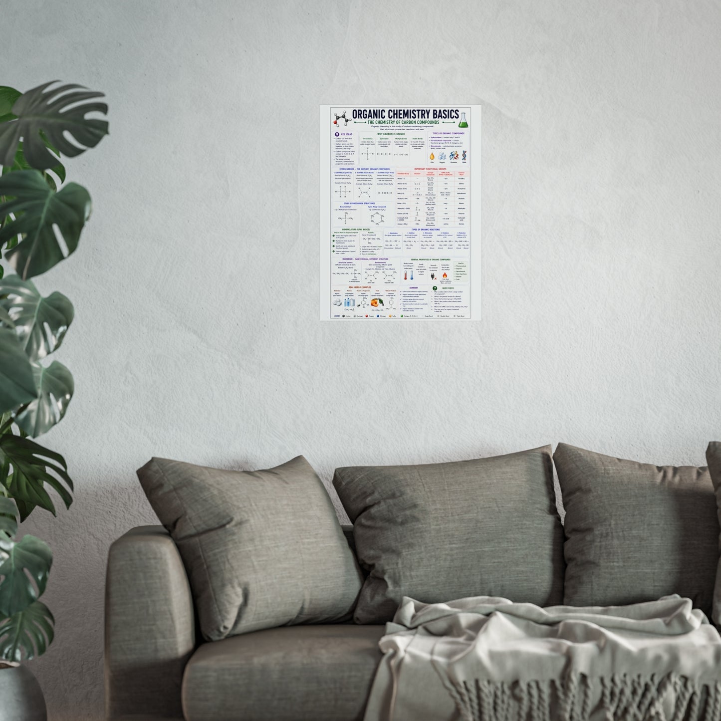 Organic Chemistry Basics Poster – Fine Art Educational Print (Reaction Types, Functional Groups, Nomenclature)
