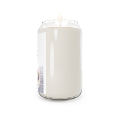Scented Soy Candles, 13.75oz
