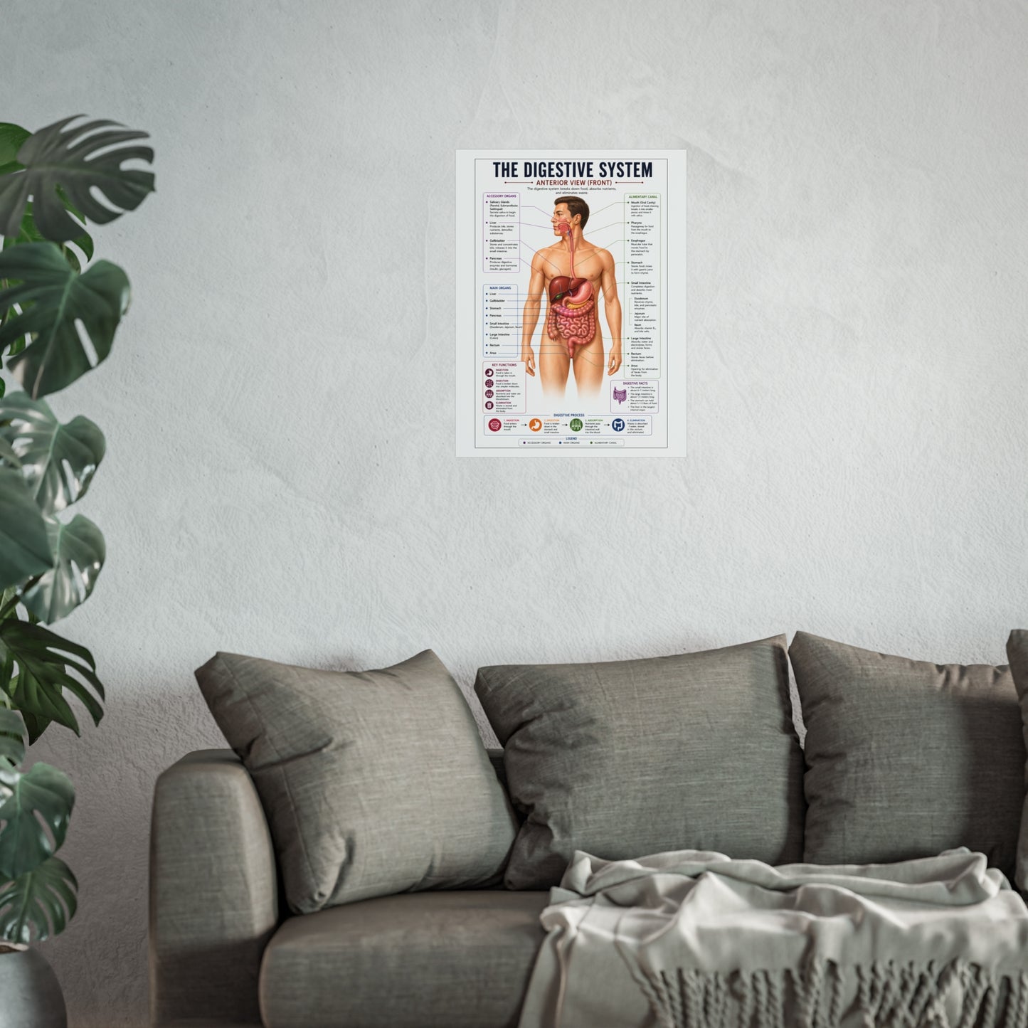 Fine Art Posters
