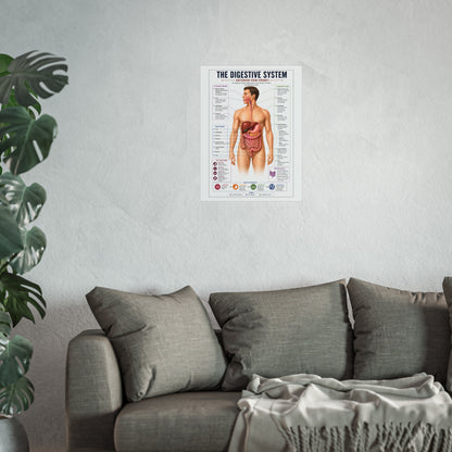 Fine Art Posters