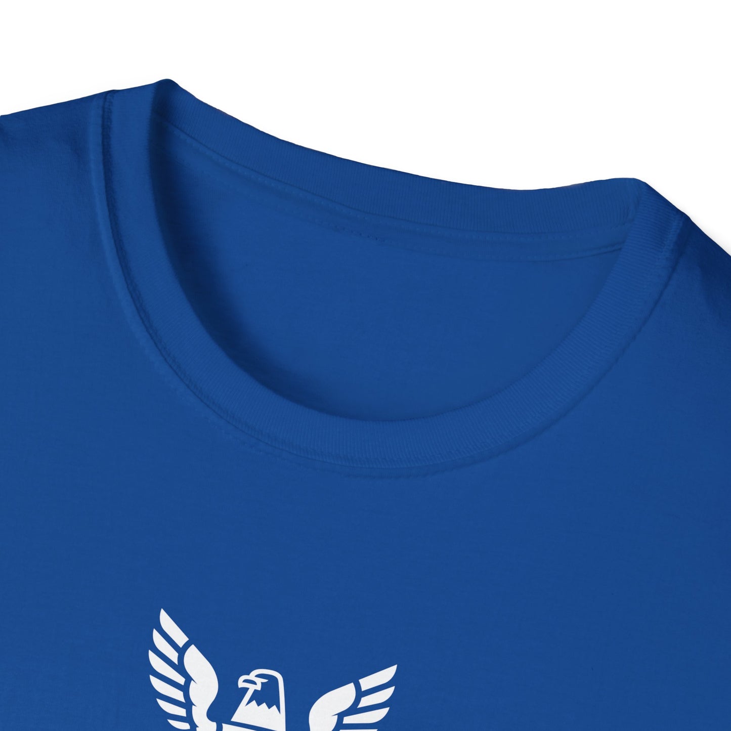 I Am a Navy Veteran Like My Father Before Me T-Shirt