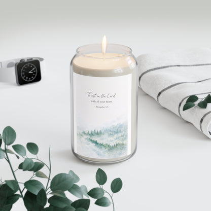 Scented Soy Candles, 13.75oz