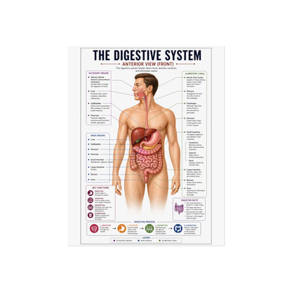 Fine Art Posters