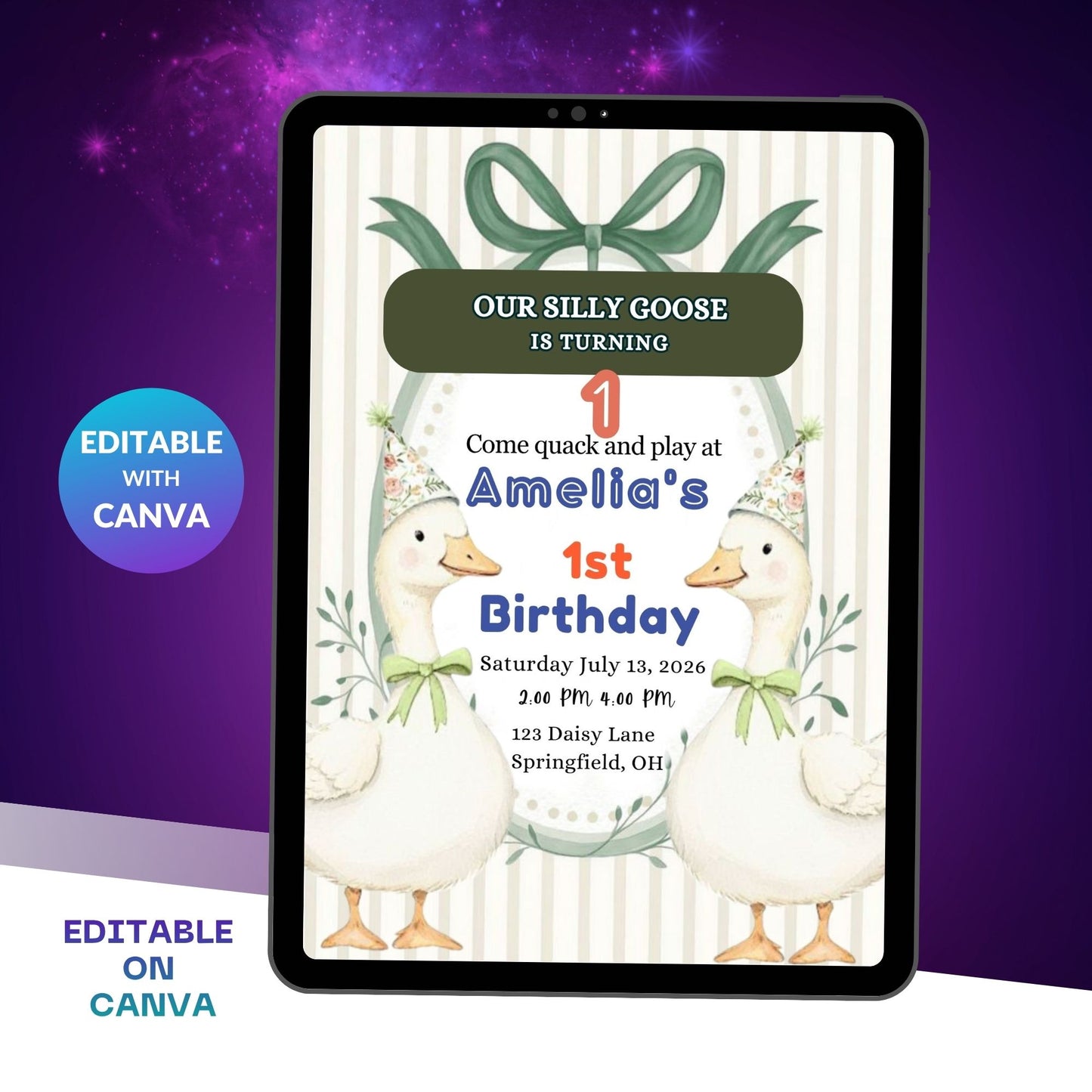 Gingham Silly Goose Birthday Invitation Template | Editable Goose Theme Digital Party Invite