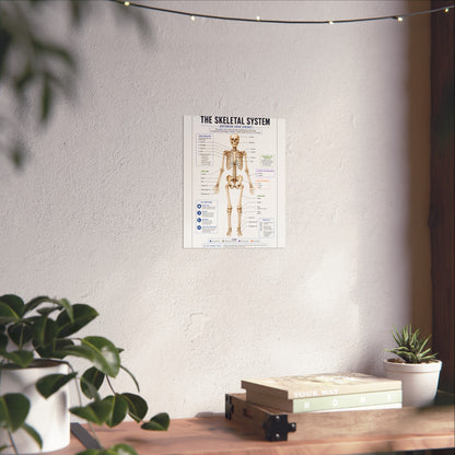Skeletal System Anatomy Poster — Fine Art Educational Print