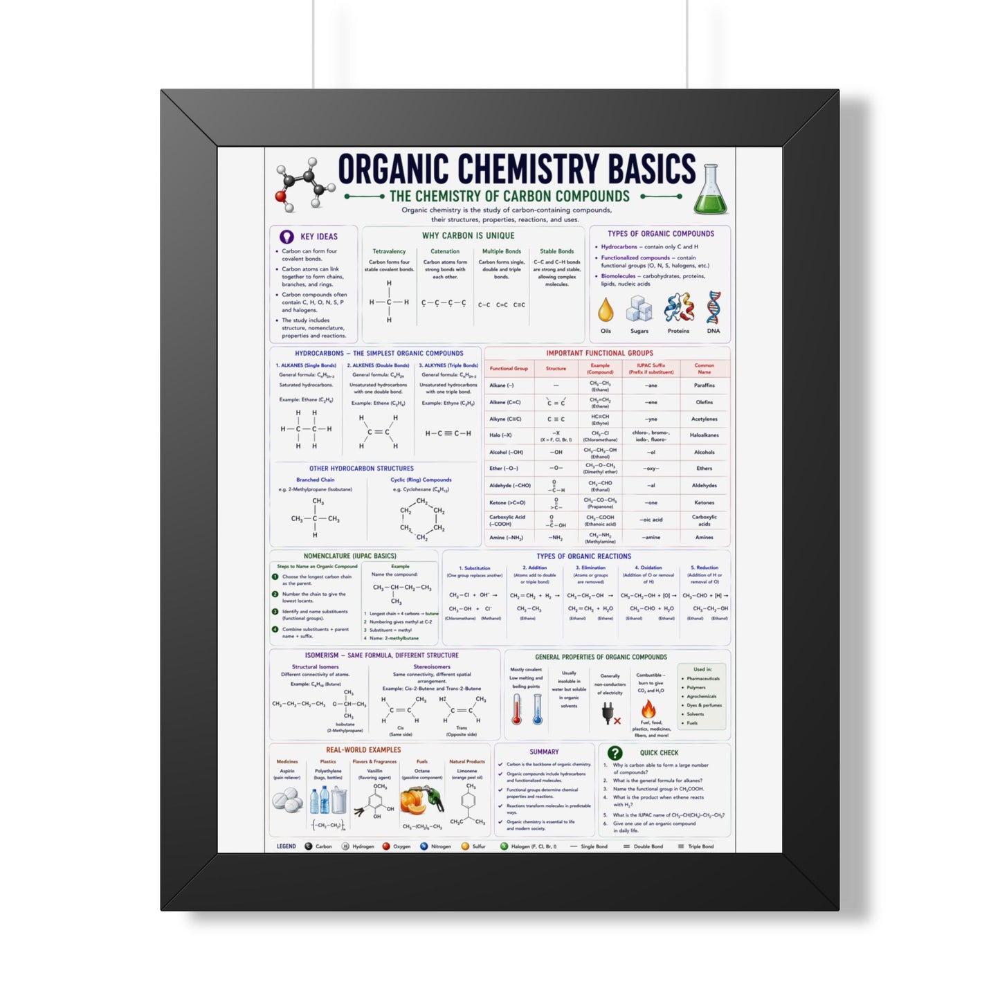 Organic Chemistry Basics Framed Poster — Study Reference Chart for Students
