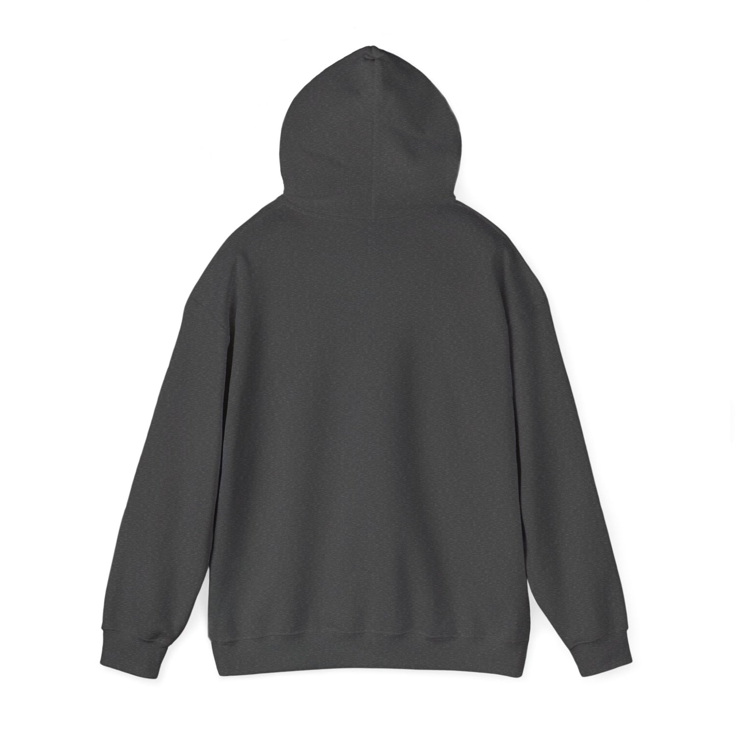 Wisdom and Theology Hoodie – Dove & Book Christian Faith Sweatshirt