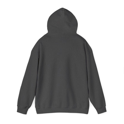 Wisdom and Theology Hoodie – Dove & Book Christian Faith Sweatshirt