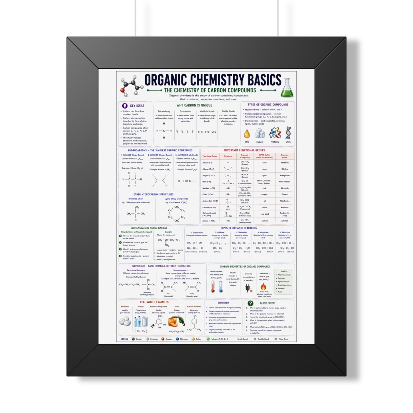 Organic Chemistry Basics Framed Poster — Study Reference Chart for Students