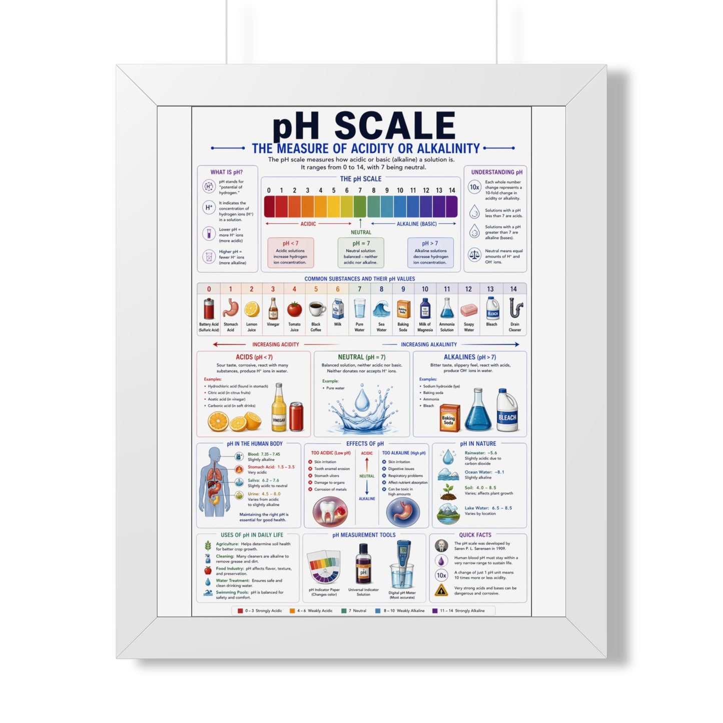 Framed Vertical Poster