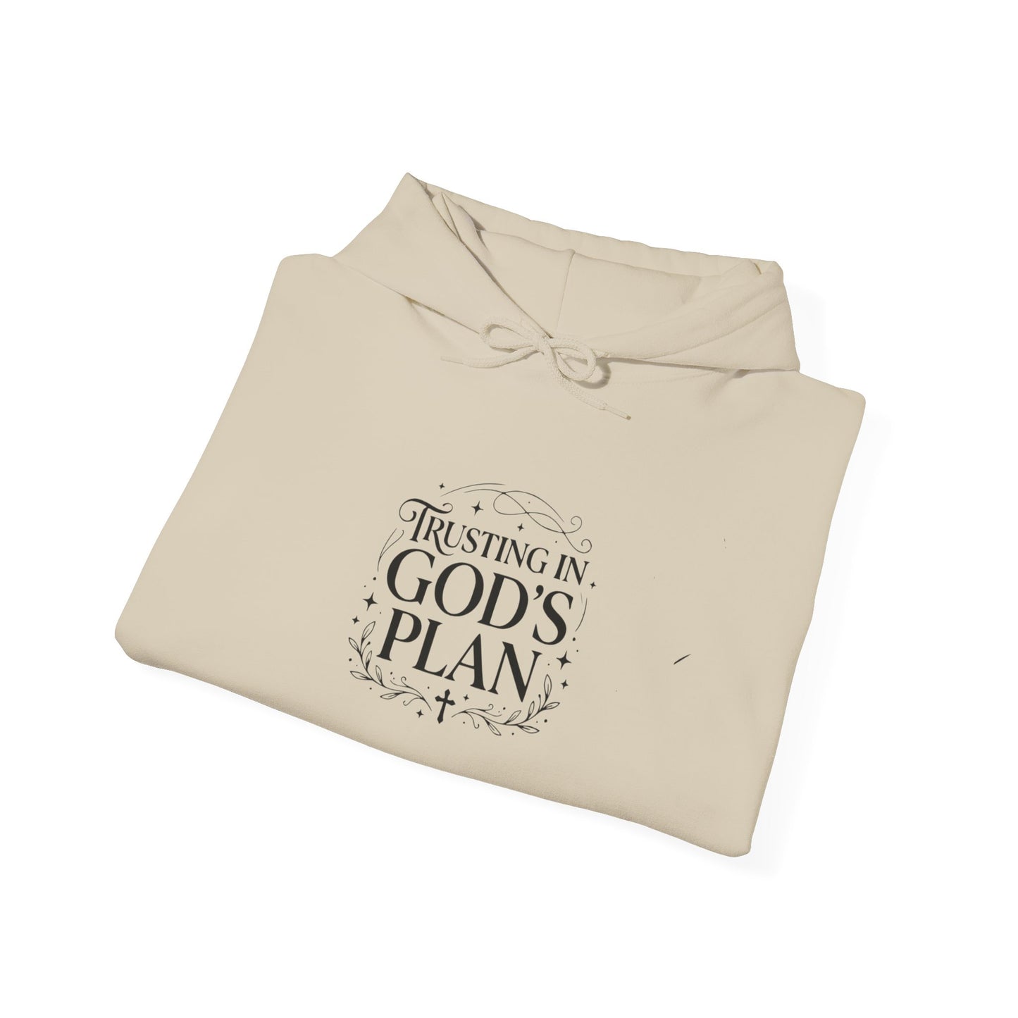 Trusting In God's Plan  Hoodie