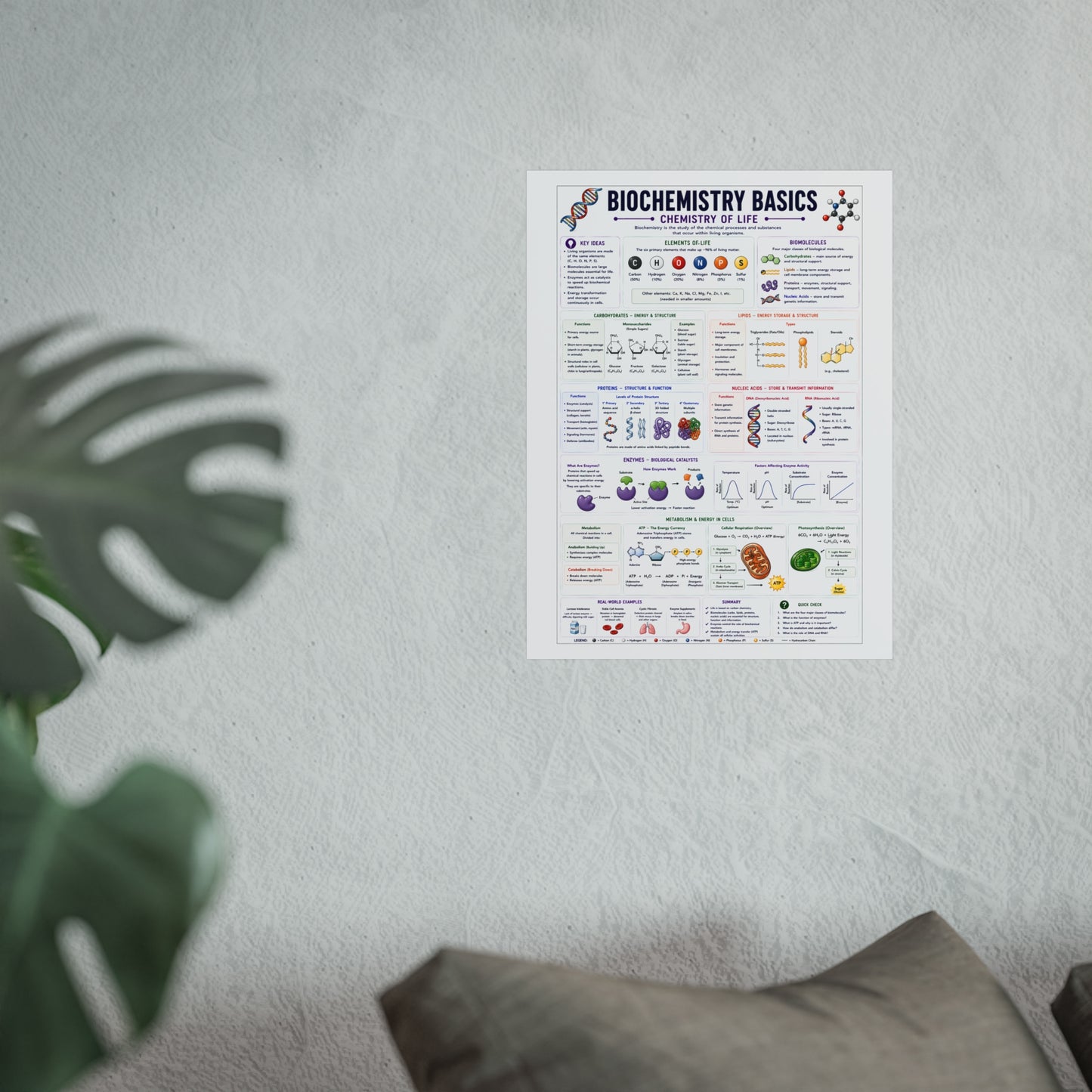 Biochemistry Basics Fine Art Poster — Chemistry of Life Educational Wall Art