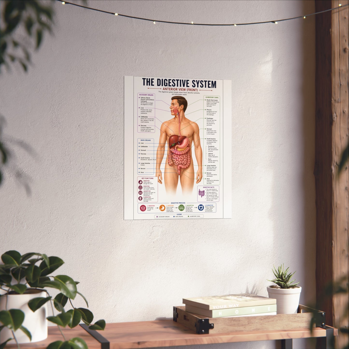 Fine Art Posters