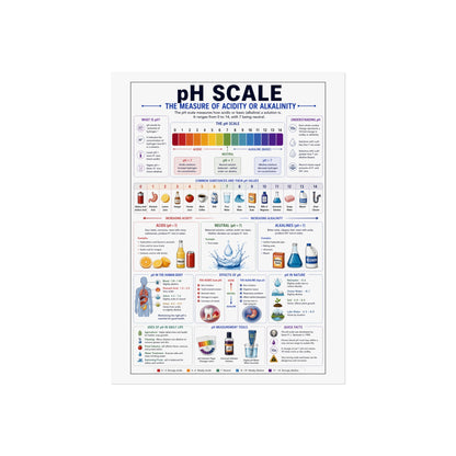 pH Scale Educational Poster - Chemistry Fine Art Poster for Classroom & Home