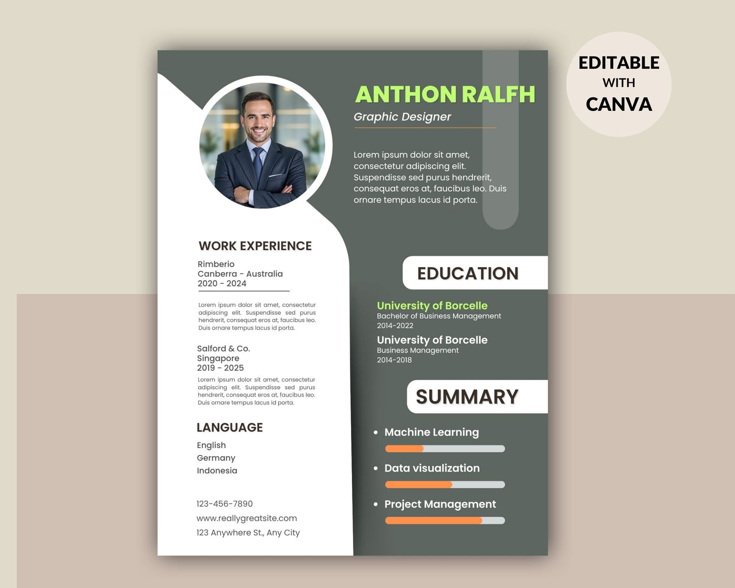 Resume Template Editable | Professional CV Template | Modern Resume Design | Job Application Resume | Canva Resume Template