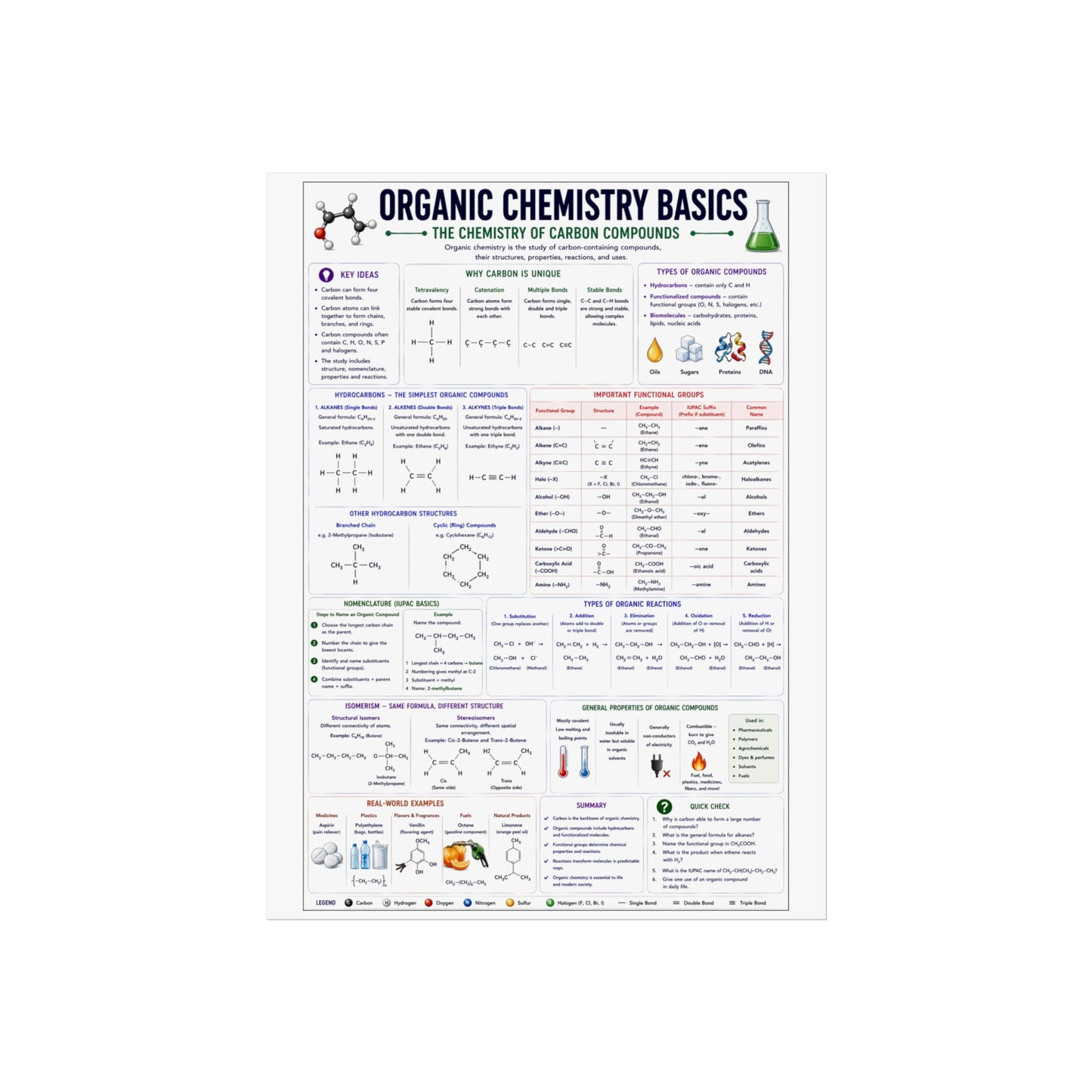 Organic Chemistry Basics Poster – Fine Art Educational Print (Reaction Types, Functional Groups, Nomenclature)