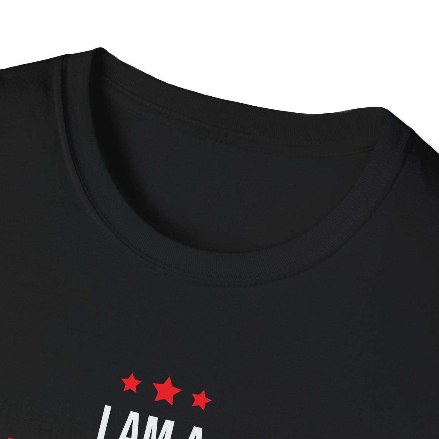 "I Am A Airforce Veteran Like My Father Before Me" T-Shirt