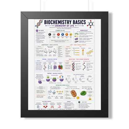 Biochemistry Basics Framed Poster — Chemistry of Life Study Guide