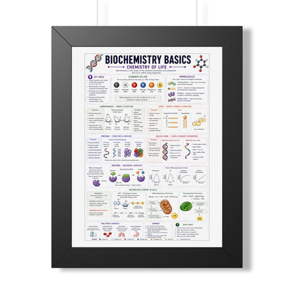 Biochemistry Basics Framed Poster — Chemistry of Life Study Guide