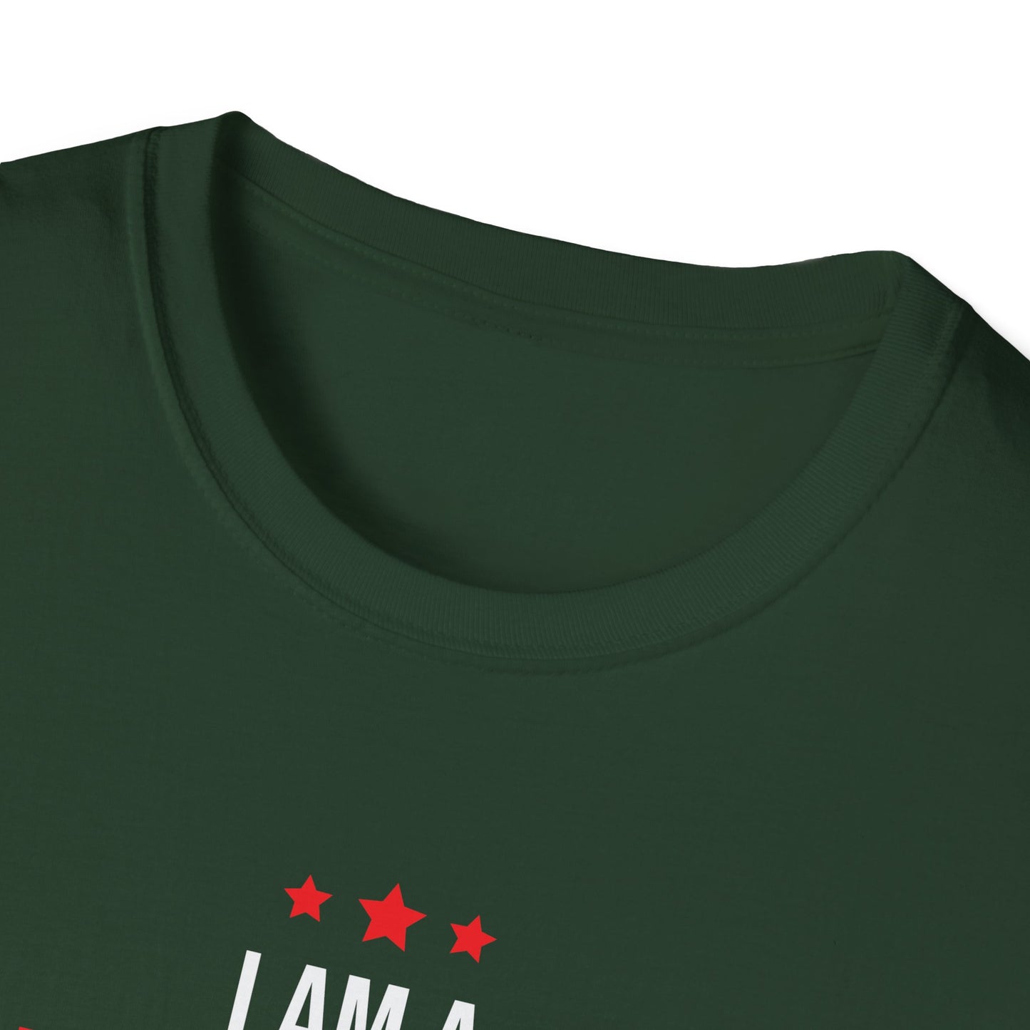 "I Am A Airforce Veteran Like My Father Before Me" T-Shirt