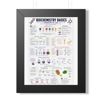 Biochemistry Basics Framed Poster — Chemistry of Life Study Guide
