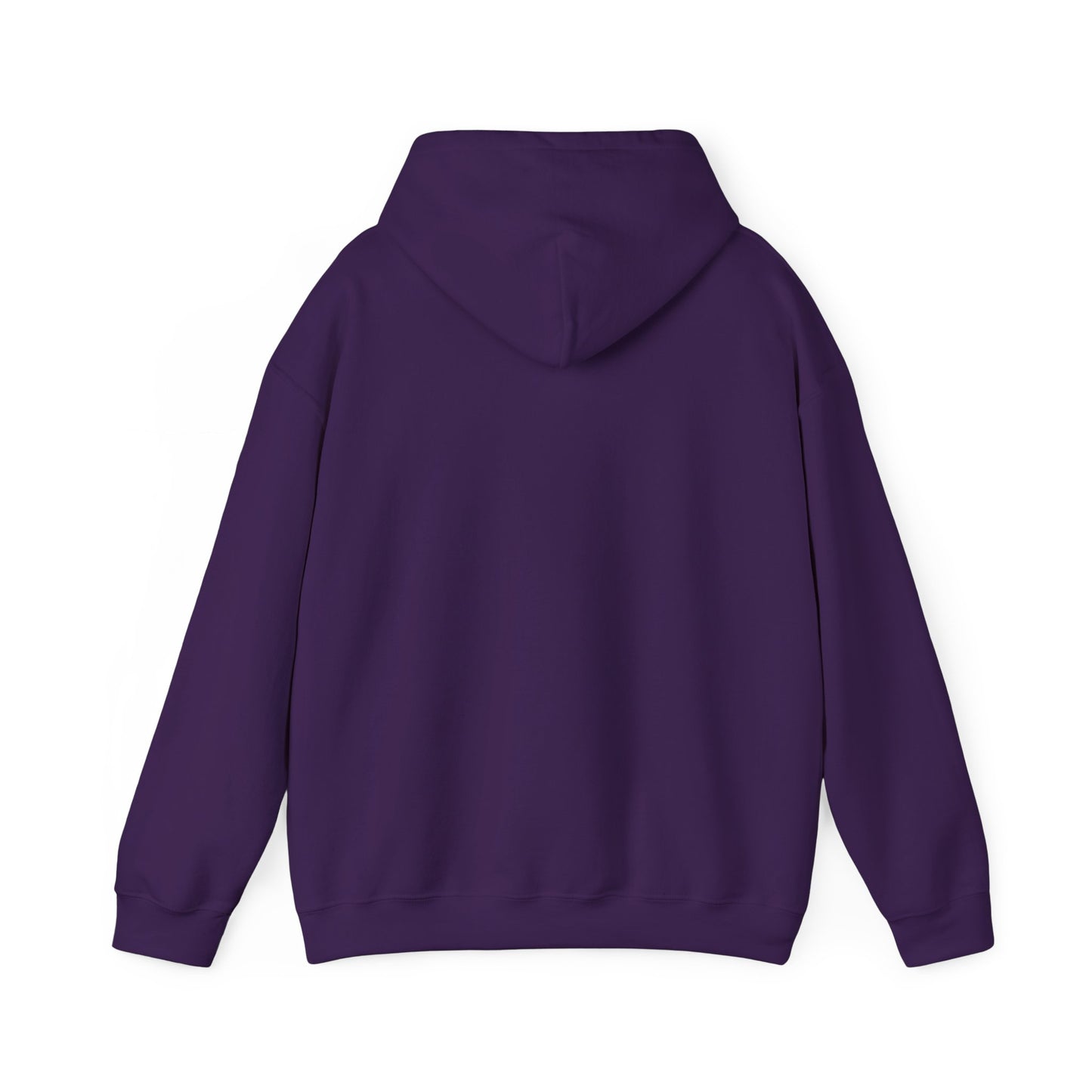 Walk in His Light Hoodie