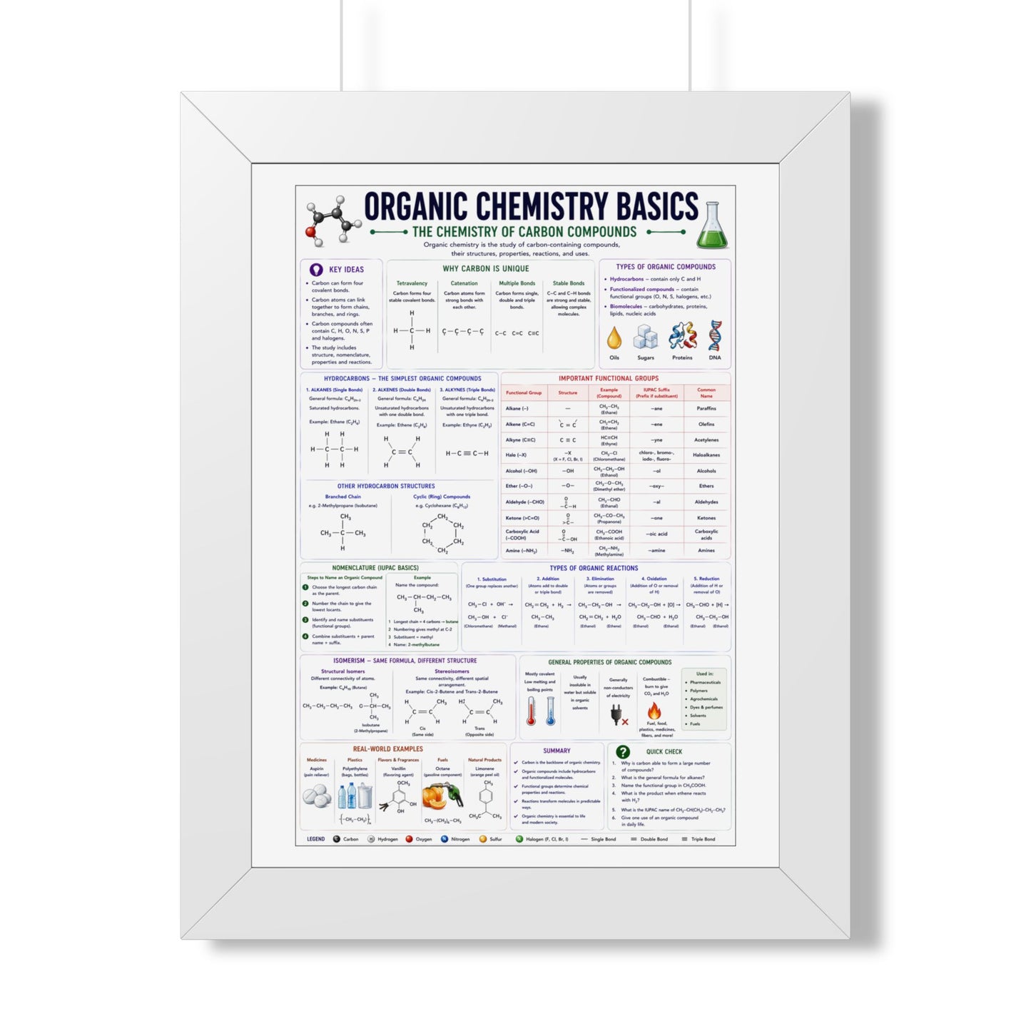 Organic Chemistry Basics Framed Poster — Study Reference Chart for Students
