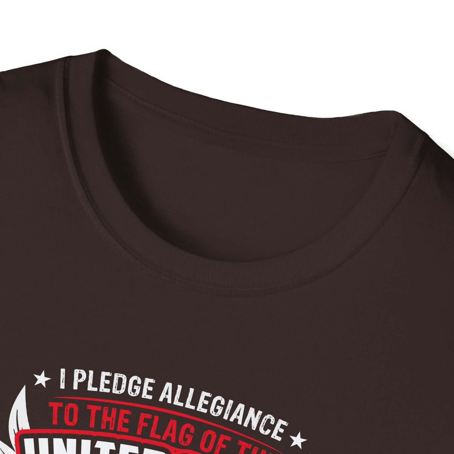 I Pledge Allegiance To the Flag of the of America The Reporlic for Which It Stands One Nation Under God Indivisible  With Liberty and Justice for All T-Shirt