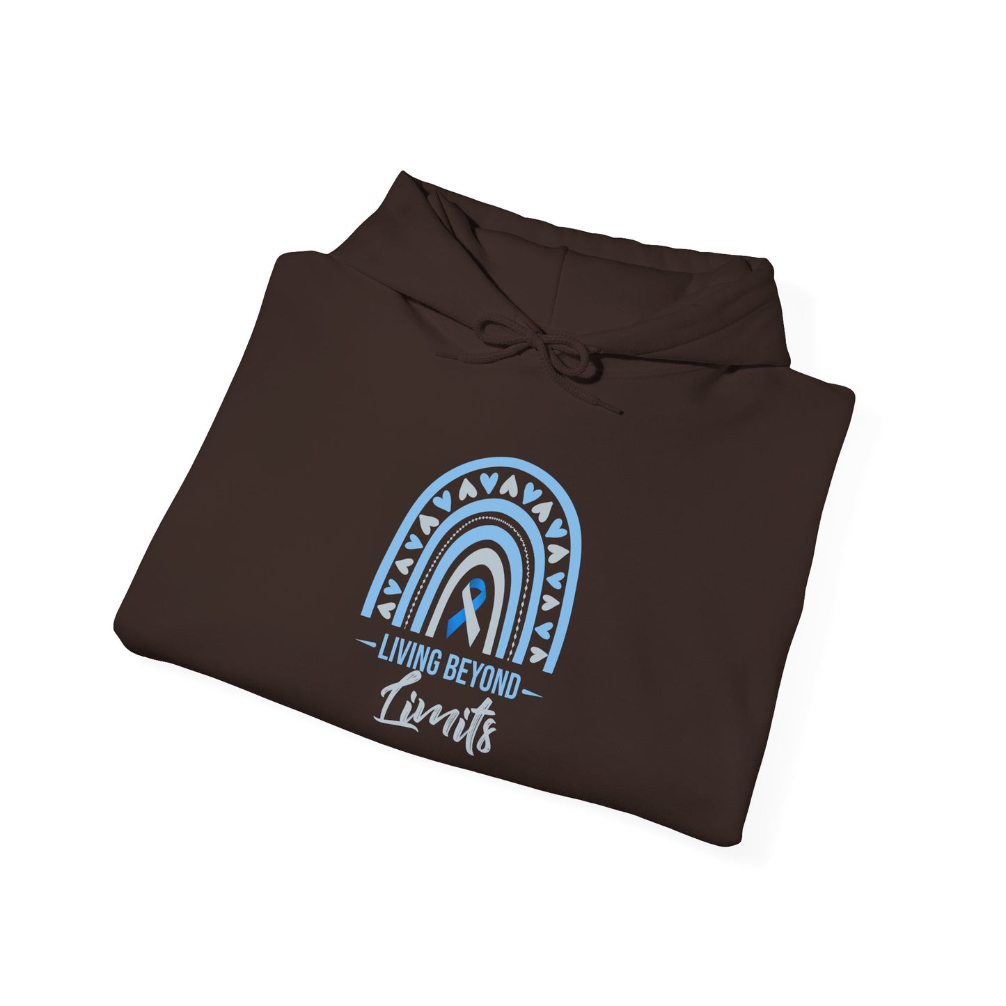 Living Beyond Limits Hoodie