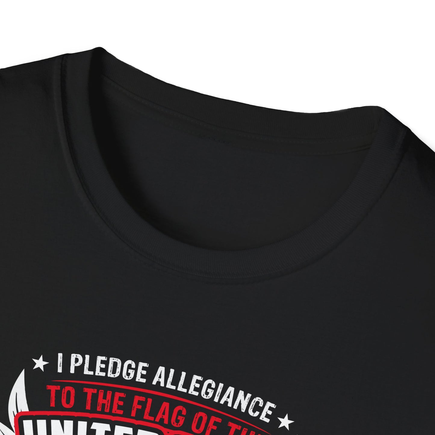 I Pledge Allegiance To the Flag of the of America The Reporlic for Which It Stands One Nation Under God Indivisible  With Liberty and Justice for All T-Shirt