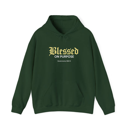Blessed On Purpose Hoodie