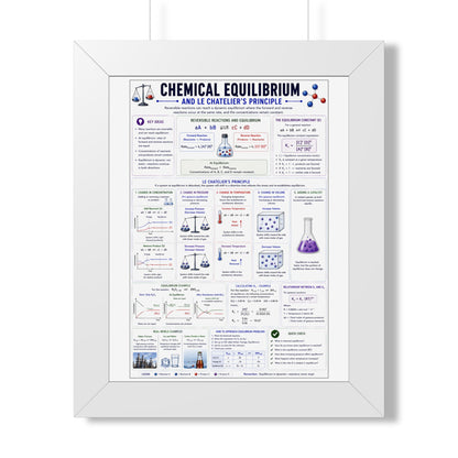 Chemical Equilibrium Poster — Framed Educational Chemistry Print