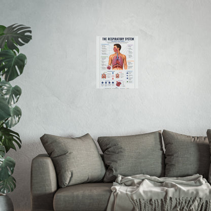 Respiratory System Anatomy Poster - Educational Fine Art Medical Print