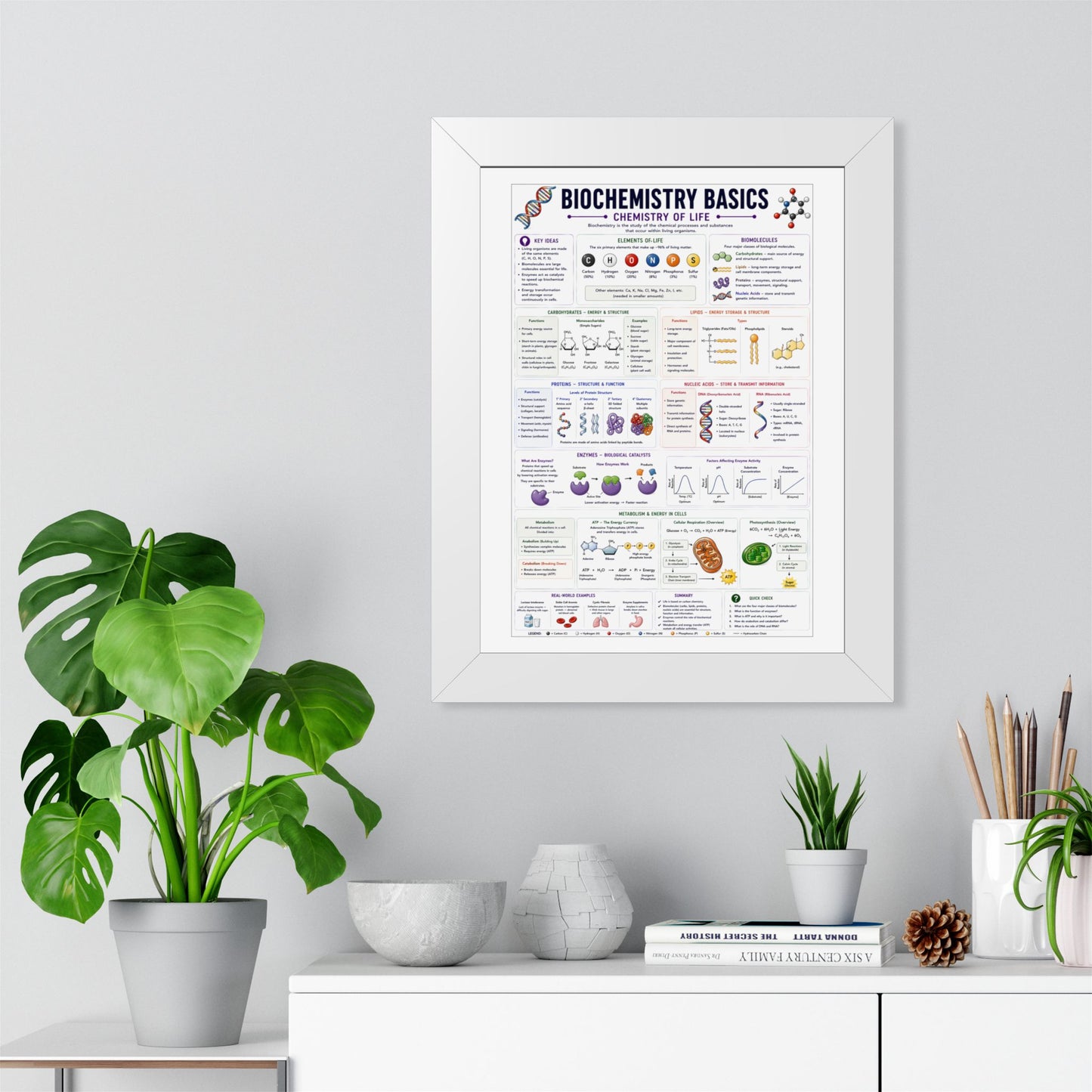 Biochemistry Basics Framed Poster — Chemistry of Life Study Guide