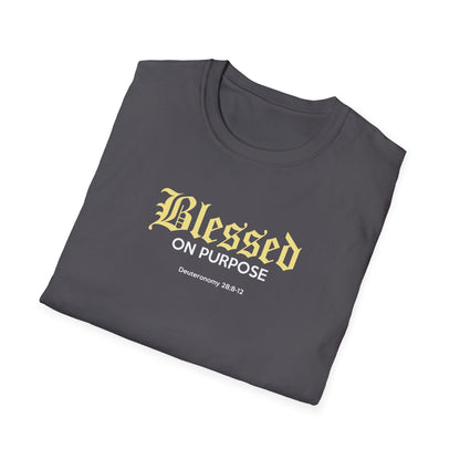 "Blessed On Purpose" T-Shirt