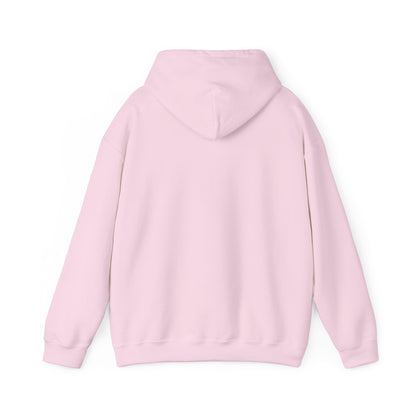 Wisdom and Theology Hoodie – Dove & Book Christian Faith Sweatshirt