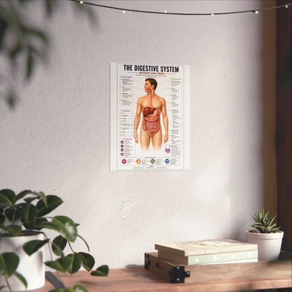 Fine Art Posters