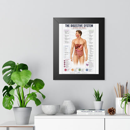 Framed Digestive System Poster — Anatomical Chart for Home, Classroom & Medical Offices