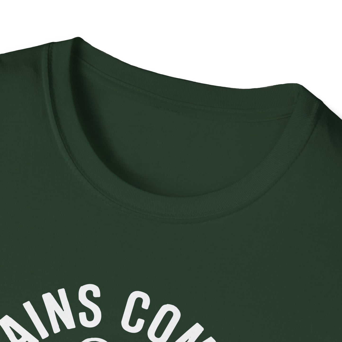 Brains Come in All Patterns T-Shirt
