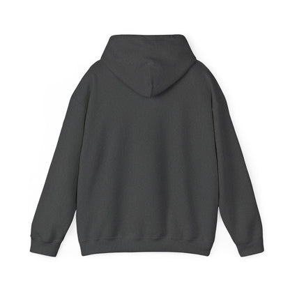 Wisdom and Theology Hoodie – Dove & Book Christian Faith Sweatshirt