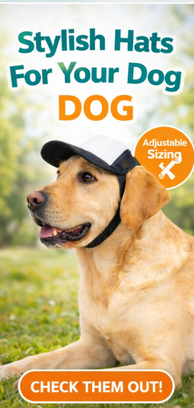 Dog Foam Trucker Hat
