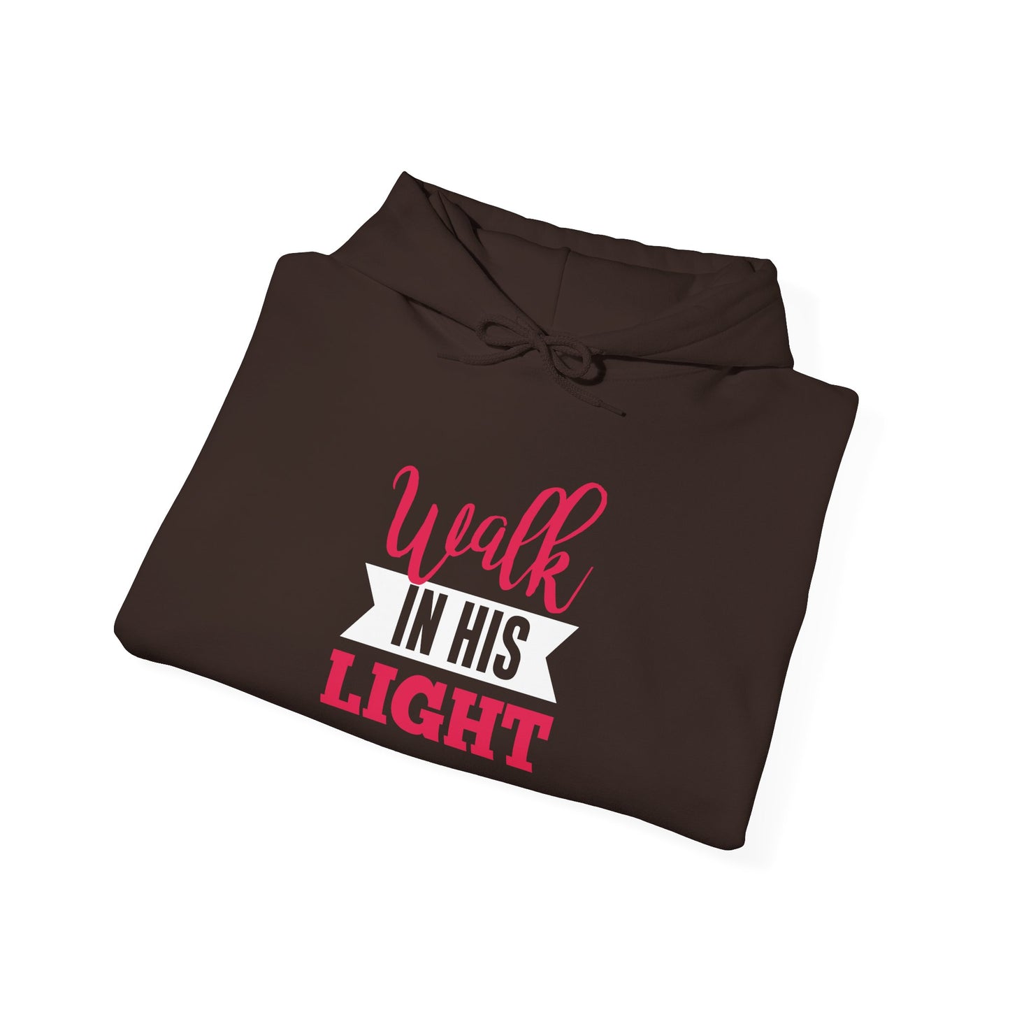 Walk in His Light Hoodie