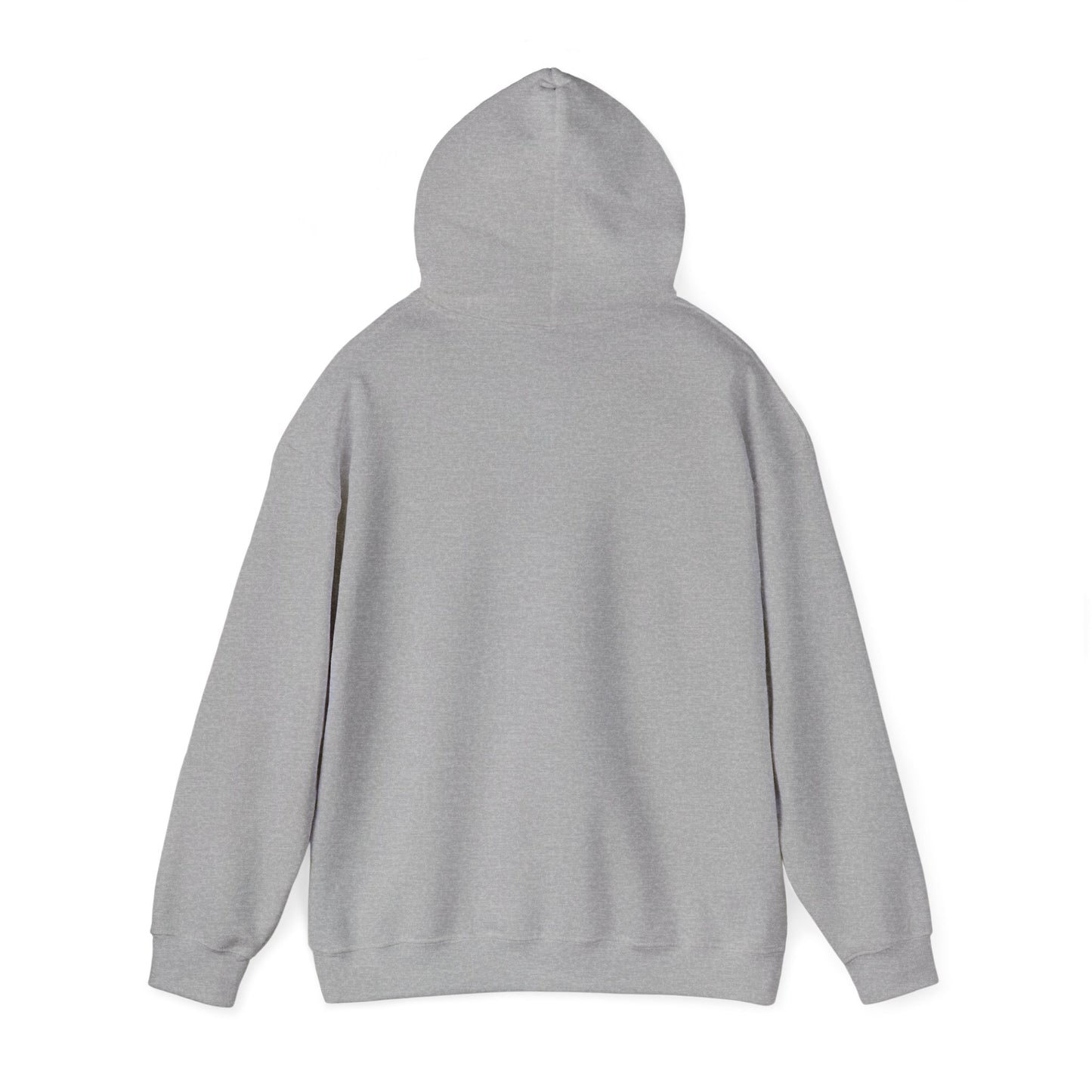 Autistic & Authentic Hoodie | neurodiversity, autistic pride