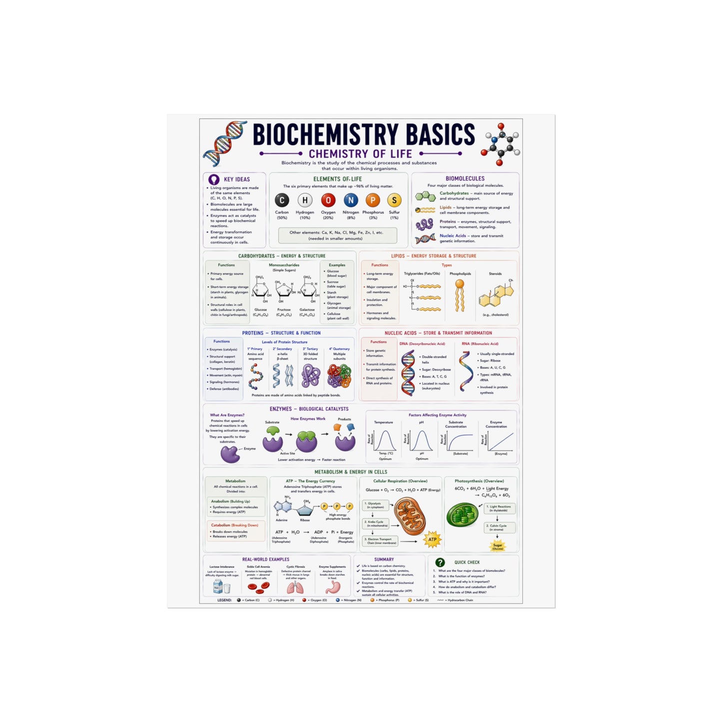 Biochemistry Basics Fine Art Poster — Chemistry of Life Educational Wall Art