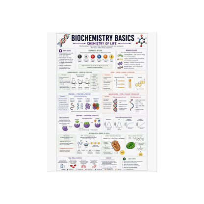 Biochemistry Basics Fine Art Poster — Chemistry of Life Educational Wall Art