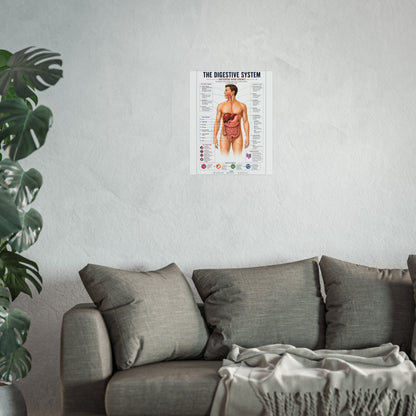 Fine Art Posters