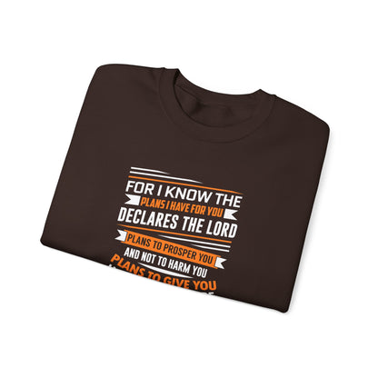 For I Know the Plans I Nave for You Declares the Lord Plans to Prosper You and Not to Harm You Plans to Give You Hope and a Future Sweatshirt